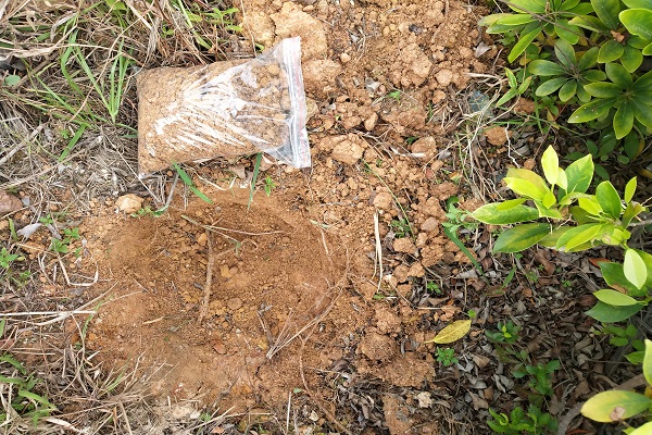 廣西土壤如何檢測 廣西土壤如何檢測