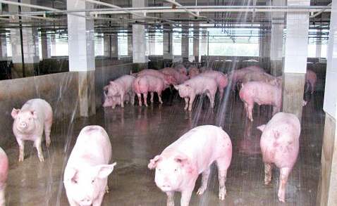 屠宰場廢水檢測項(xiàng)目 屠宰場廢水檢測項(xiàng)目