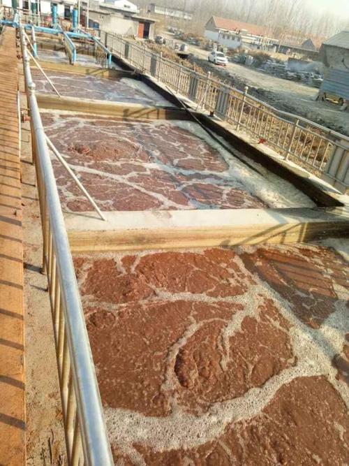 屠宰場廢水水質和特點 屠宰場廢水水質和特點