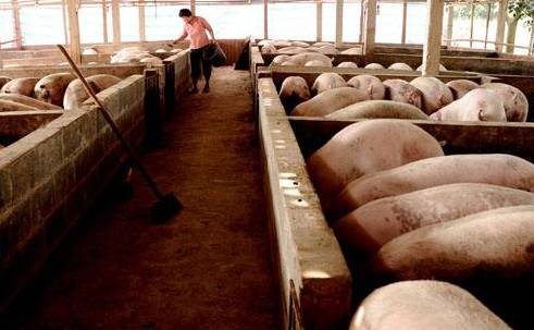 養豬場廢水檢測