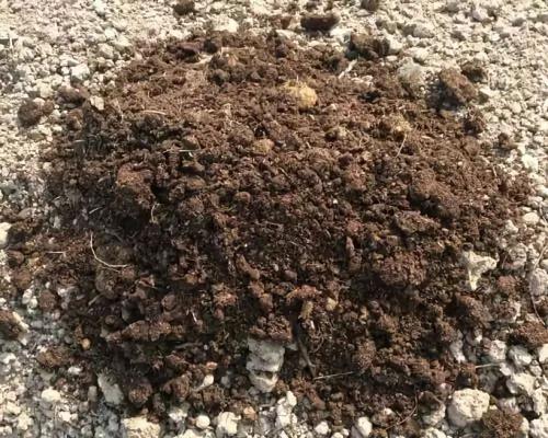 土壤檢測機構 土壤檢測機構