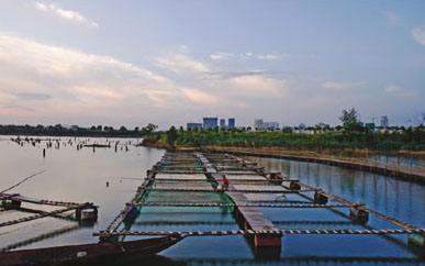 漁業水質檢測 漁業水質檢測